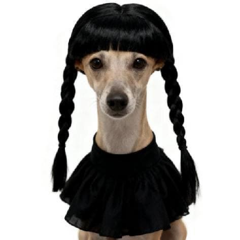 Pet braided wig from the PartyTime presentation archive