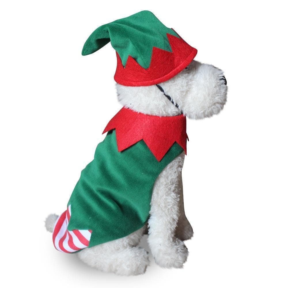 Pet elf costume from the PartyTime presentation archive